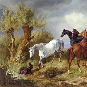 a albrecht print