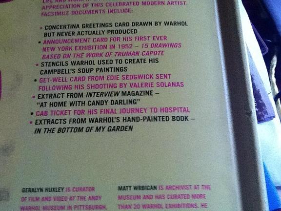 andy warhol treasures book