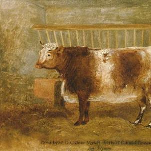 unknown artist print