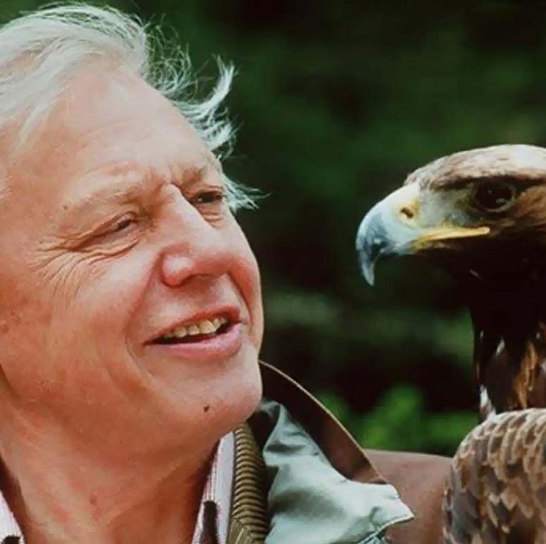 david attenborough