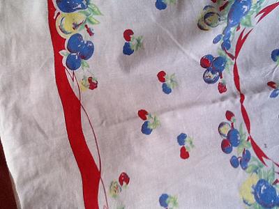 Lovely tablecloth grapes and strawberries pattern