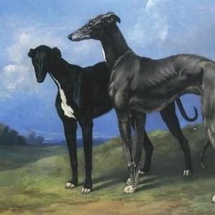 henry d'aincey print