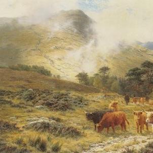 louis bosworth hurt print