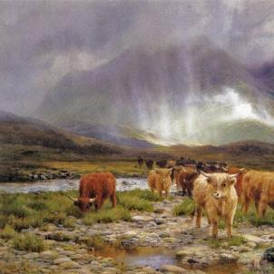 louis bosworth hurt canvas print