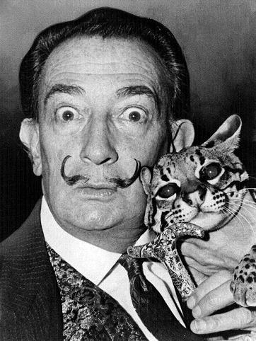 salvador dali
